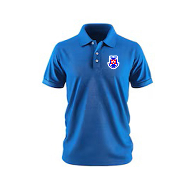 Legacy Project Polo shirt - Blue